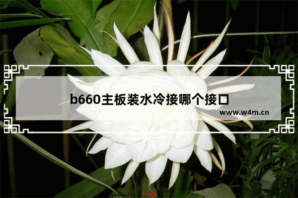 b660主板装水冷接哪个接口