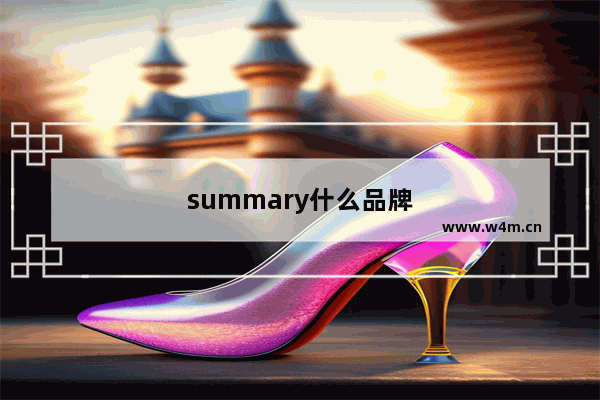 summary什么品牌