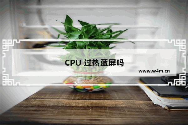 CPU 过热蓝屏吗