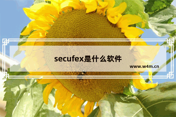 secufex是什么软件