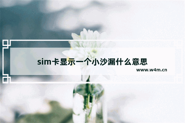 sim卡显示一个小沙漏什么意思