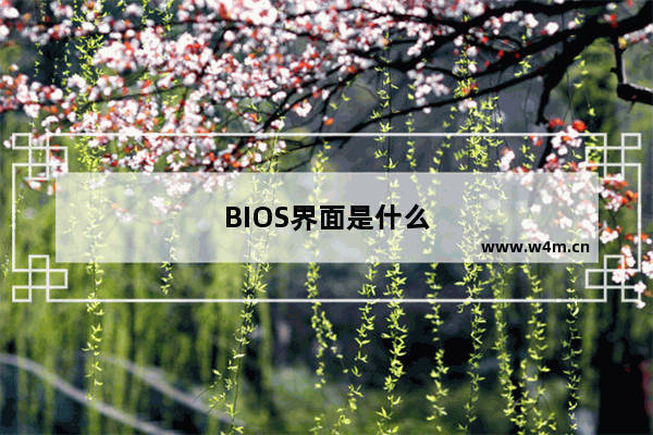 BIOS界面是什么