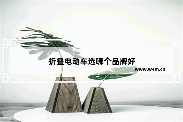 折叠电动车选哪个品牌好