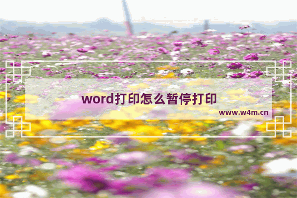 word打印怎么暂停打印