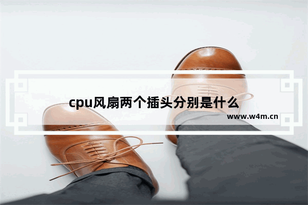 cpu风扇两个插头分别是什么