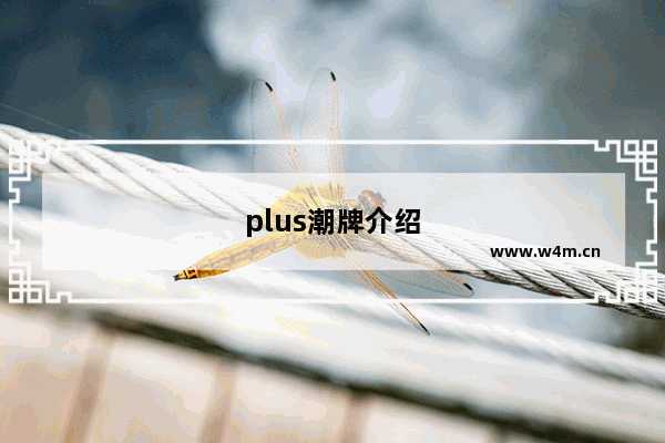 plus潮牌介绍