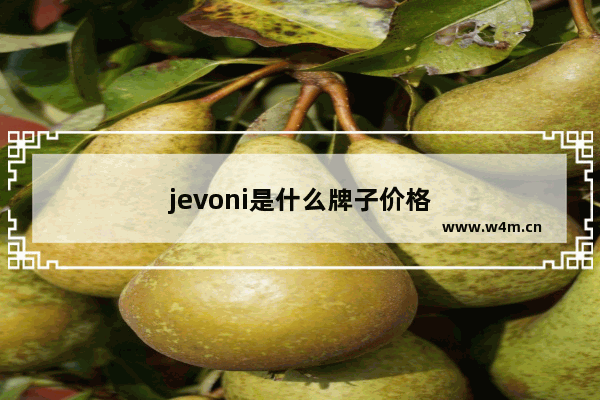 jevoni是什么牌子价格