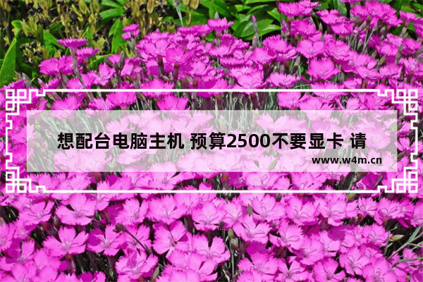 想配台电脑主机 预算2500不要显卡 请大家推荐