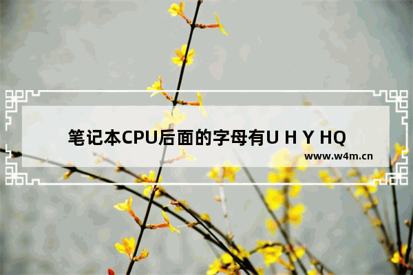 笔记本CPU后面的字母有U H Y HQ M区别