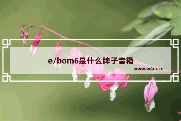 e/bom6是什么牌子音箱