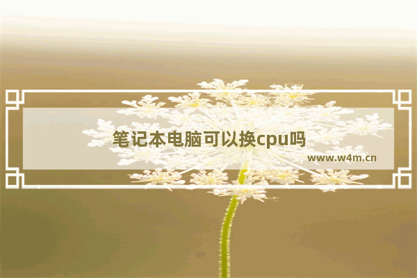 笔记本电脑可以换cpu吗