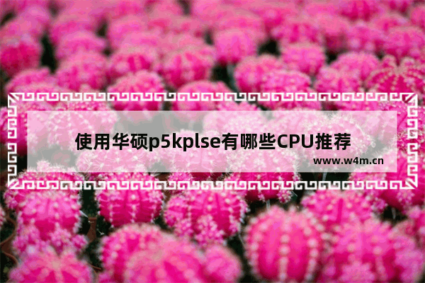 使用华硕p5kplse有哪些CPU推荐