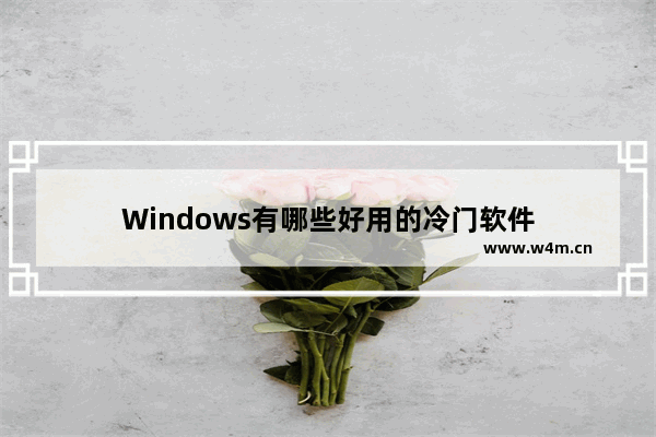 Windows有哪些好用的冷门软件