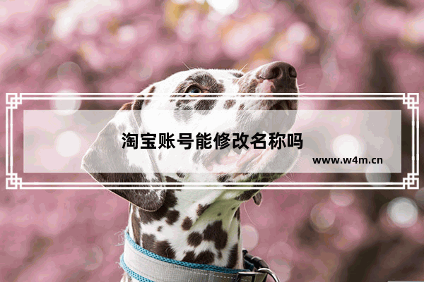 淘宝账号能修改名称吗