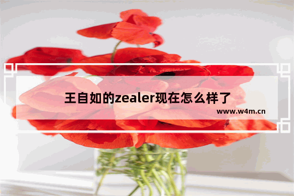 王自如的zealer现在怎么样了