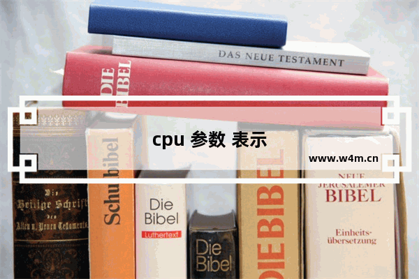 cpu 参数 表示