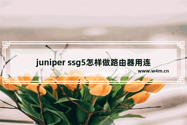 juniper ssg5怎样做路由器用连到另一个cisco路由器的交换口