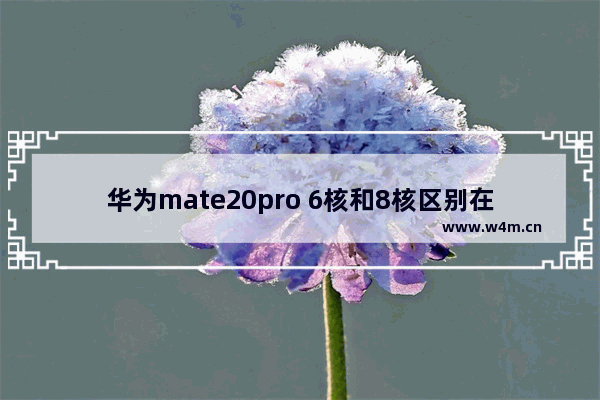 华为mate20pro 6核和8核区别在哪