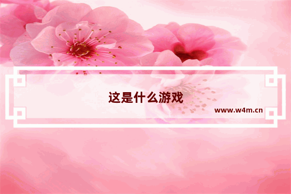 这是什么游戏