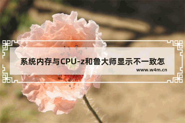 系统内存与CPU-z和鲁大师显示不一致怎么办啊