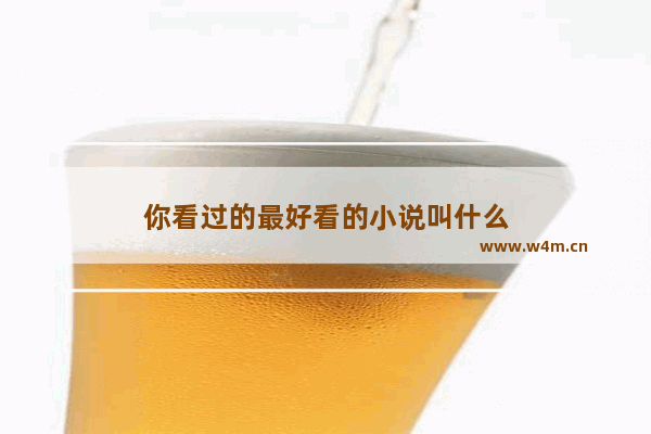 你看过的最好看的小说叫什么