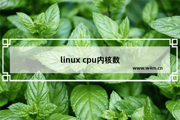 linux cpu内核数