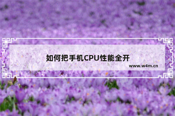 如何把手机CPU性能全开