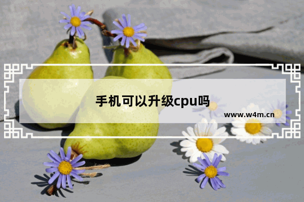 手机可以升级cpu吗