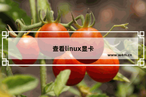 查看linux显卡