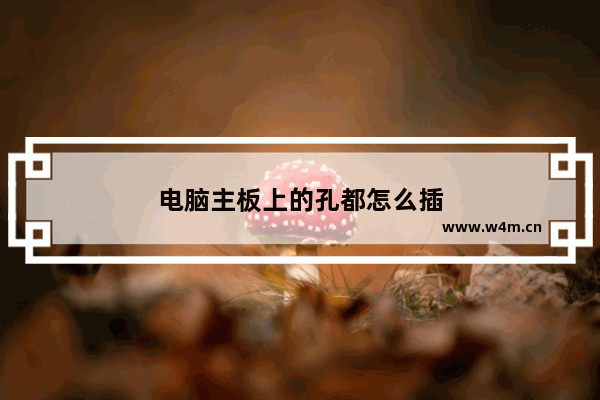 电脑主板上的孔都怎么插