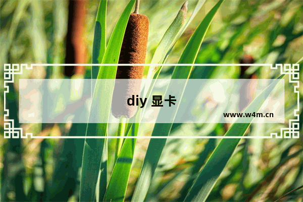 diy 显卡