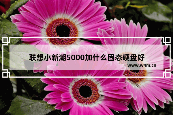 联想小新潮5000加什么固态硬盘好