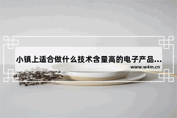 小镇上适合做什么技术含量高的电子产品加工