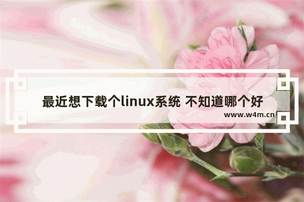 最近想下载个linux系统 不知道哪个好点 ubuntu还是deepin 为什么