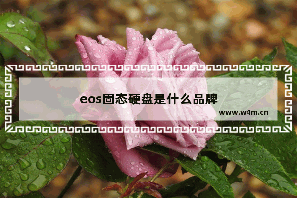 eos固态硬盘是什么品牌