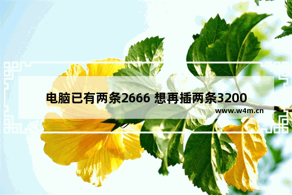 电脑已有两条2666 想再插两条3200的可以吗 有什么问题