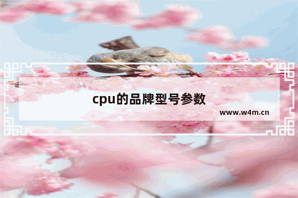 cpu的品牌型号参数