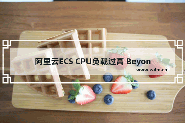 阿里云ECS CPU负载过高 Beyond Compare怎么关闭