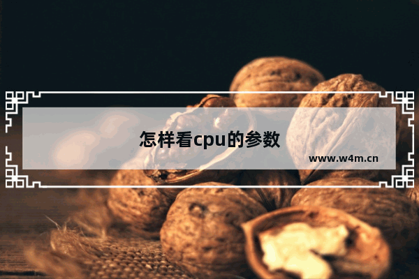 怎样看cpu的参数