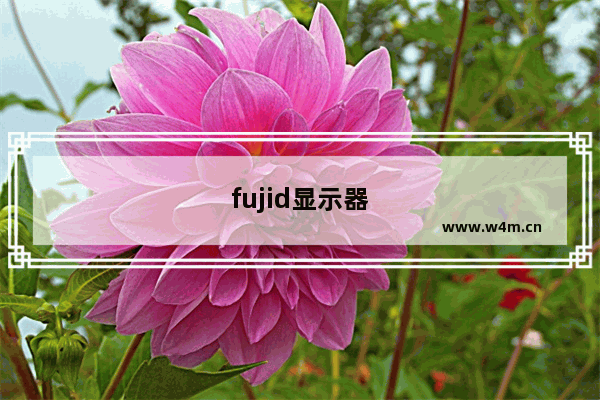 fujid显示器