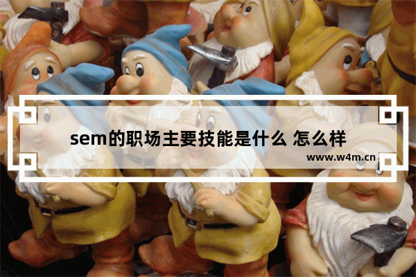 sem的职场主要技能是什么 怎么样