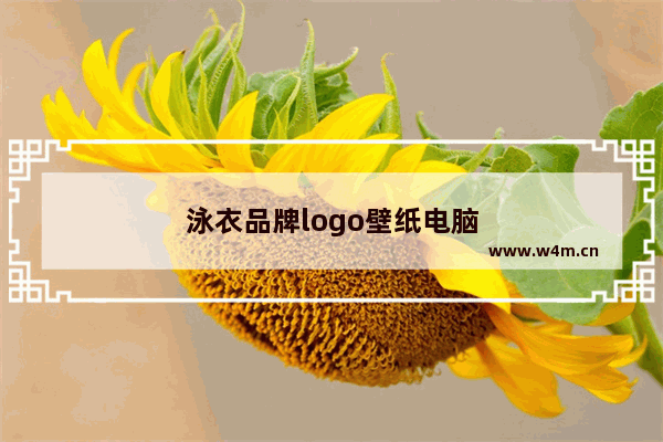 泳衣品牌logo壁纸电脑