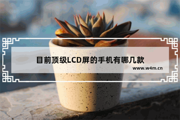 目前顶级LCD屏的手机有哪几款