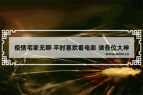 疫情宅家无聊 平时喜欢看电影 请各位大神推荐几部外国电影