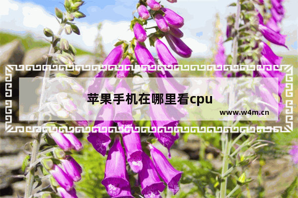 苹果手机在哪里看cpu