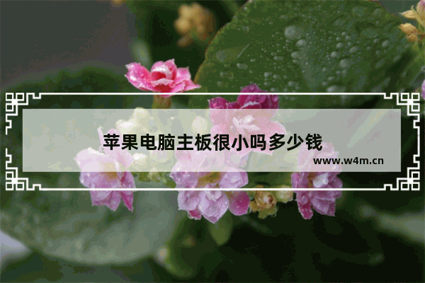 苹果电脑主板很小吗多少钱