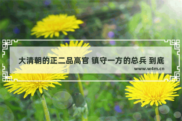 大清朝的正二品高官 镇守一方的总兵 到底能调动多少军队