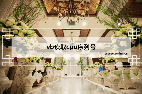 vb读取cpu序列号