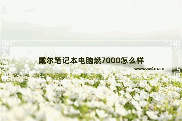 戴尔笔记本电脑燃7000怎么样