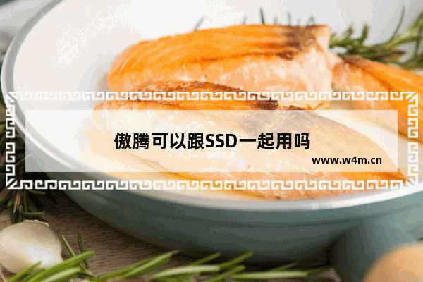 傲腾可以跟SSD一起用吗